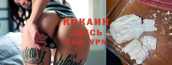 стафф Каменногорск