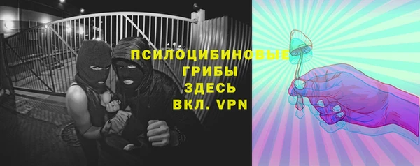 молекула духа Чегем