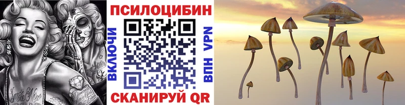 Купить Мыски Псилоцибиновые грибы прущие грибы